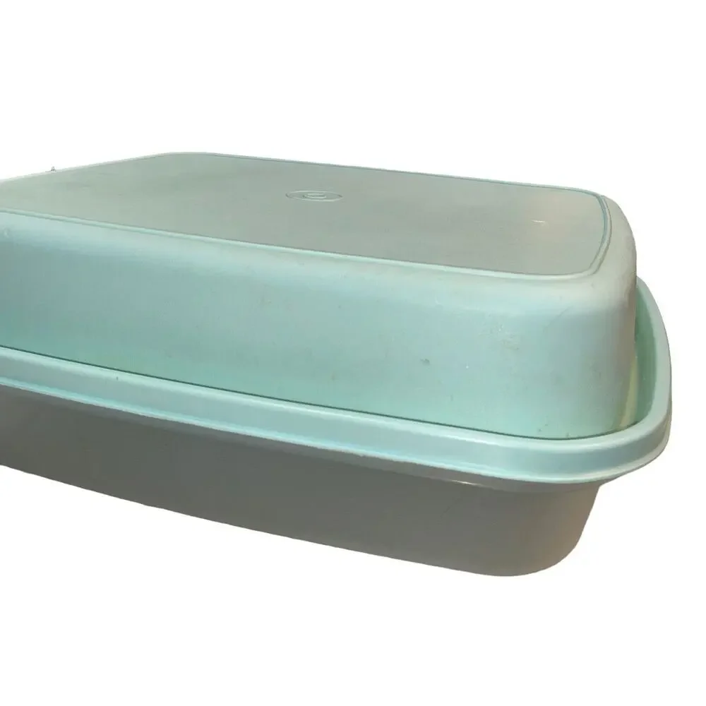 Tupperware Seafoam Green Meat Marinade Container 1294 1295 Sheer Large Seasoning